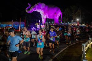 BIB: 
                            <button type="button" onclick="openModal(26552330)" class="btn btn-primary btn-sm float-right btn-popup" data-toggle="modal" data-target=".modal-high-quality">
                        <i class="fas fa-shopping-cart"></i> Add to Cart
                    </button>
                                            <button type="button" onclick="isThisMe(26552330, true)" class="btn btn-success btn-sm float-right btn-popup btn-isme hidden" data-toggle="tooltip" data-placement="bottom" title="นี่คือรูปของคุณใช่ไหม คลิกที่นี่เพื่อเอาเข้าอัลบั้ม">
                        <i class="fas fa-plus"></i> Add to album
                    </button>
                    <button type="button" onclick="isThisMe(26552330, false)" class="btn btn-warning btn-sm float-right btn-popup btn-isnotme hidden">
                        <i class="fas fa-ban"></i> Remove from album
                    </button>